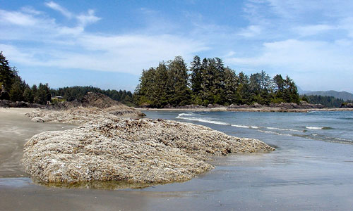 scenic-beach-500px scenic-beach-500px